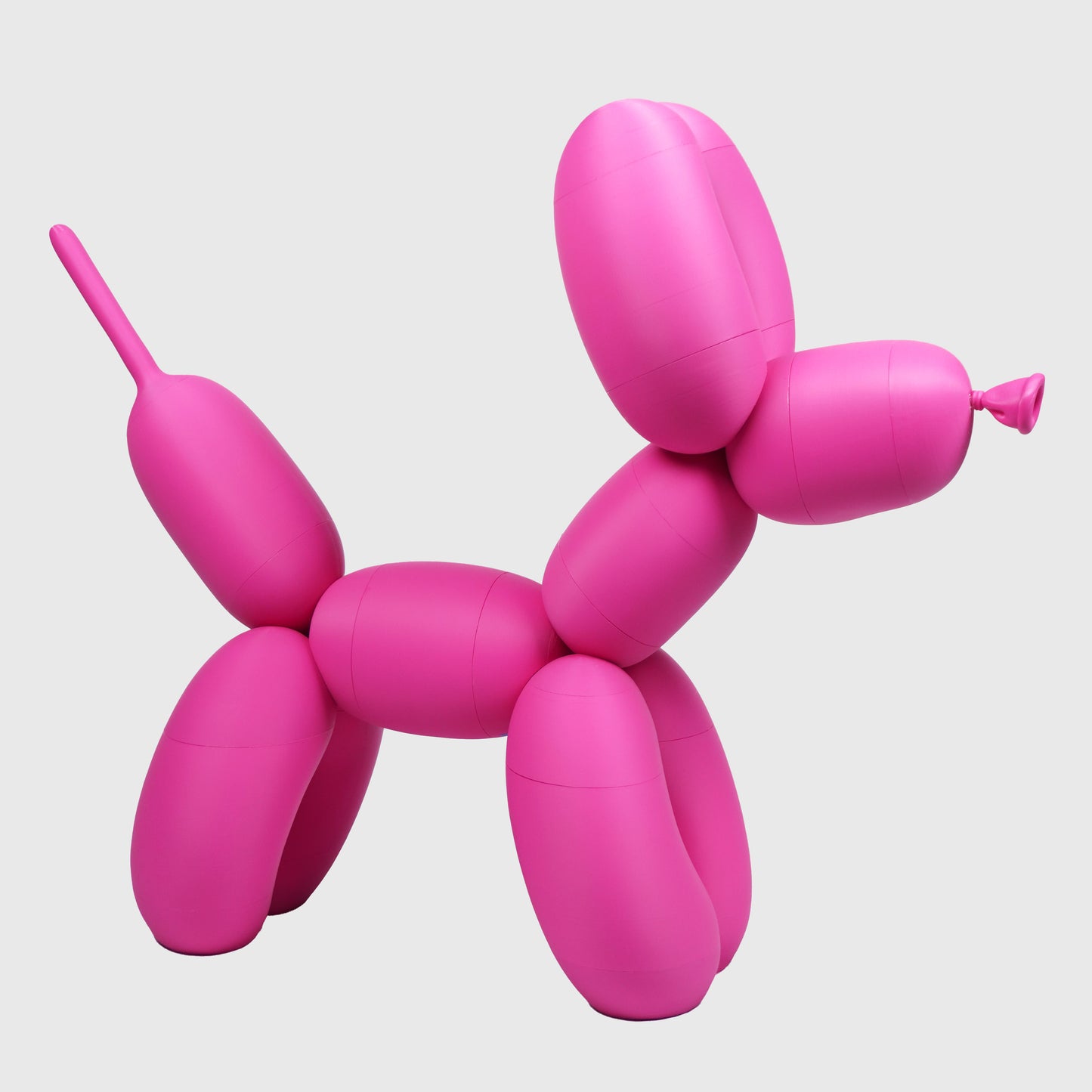 Balloon Dog