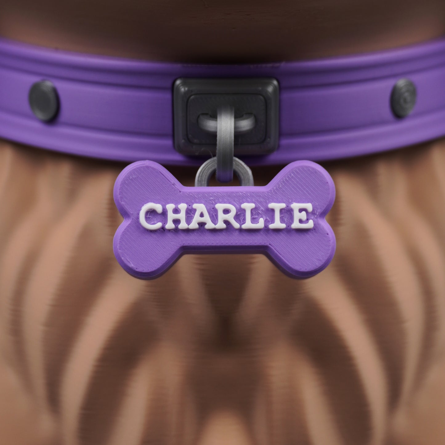 TitanPals - Charlie